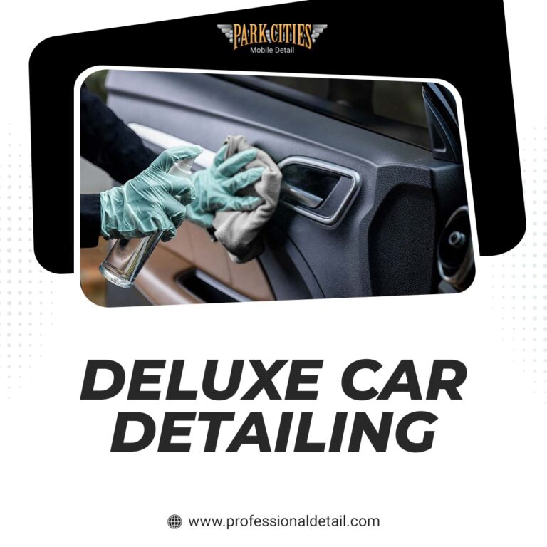 Deluxe Car Detailing Services